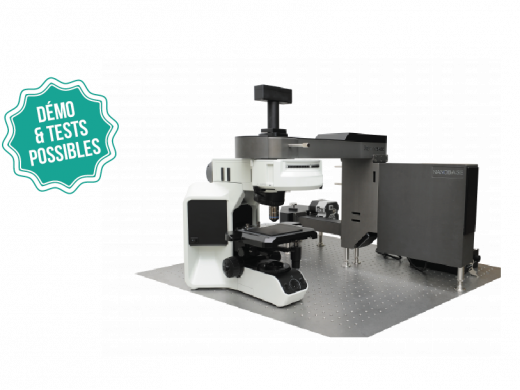 Microscope Raman Confocal